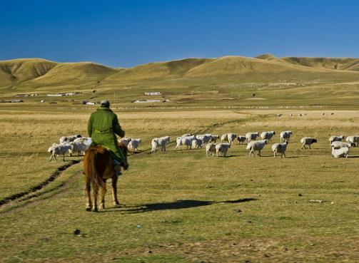 耗来河|世界上最“没尊严”的河：最窄处只有4厘米，过路的鱼都会被卡住