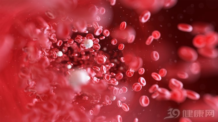 抗癌|鹅不会得癌，鲜鹅血还能抗癌治癌？肿瘤科医生来辟谣