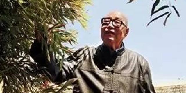 「抗美援朝」开国少将被埋地下，2只苍蝇成为救命恩人，从此终生不打苍蝇！