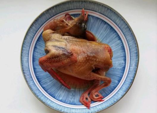 「桂圆」手把手教学煲鸽子汤，简单配料，加入补品味道上佳