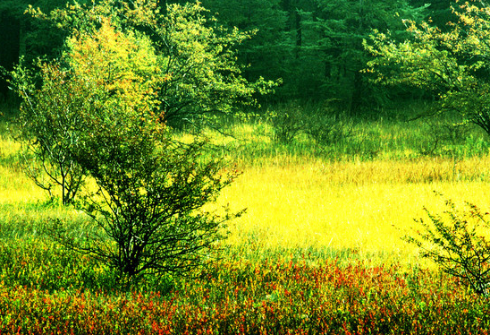 运势|7月下旬，4属相运势转旺，身边贵人如云，事业迎来转机，日子风光