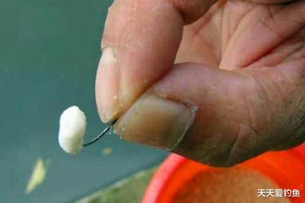 饵料|钓鱼技巧:仲秋钓大鲫鱼,两款绝杀饵料配方,这可是钓鲫鱼杀手锏