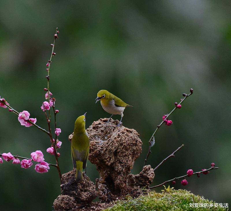 「」工作中做到这3点，你在办公室的地位就很难有人撼动！