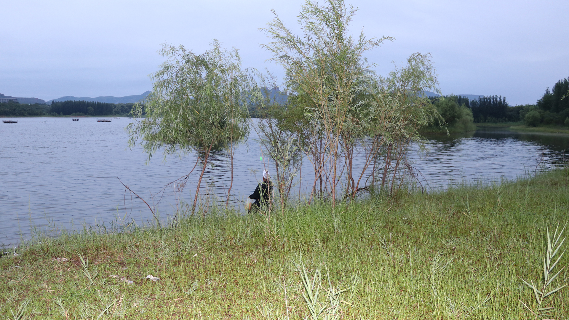 饵料|看看风向风力，今天适合钓鱼吗？无师自通有答案