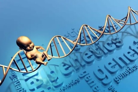 科学家▲美国科学家:一万年后,人类将分化为五种人。你觉得哪种最厉害?