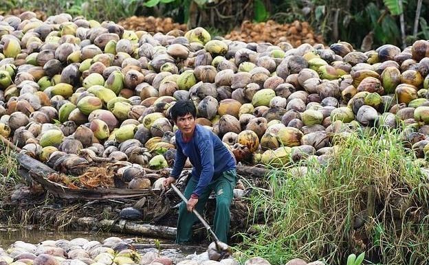 巴厘岛|巴厘岛彻底黄了？以前嫌中国游客摁榴莲、丢垃圾，如今眼巴巴等客