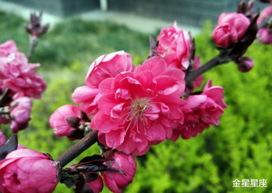 [运势]7月3号，运势飞涨的生肖，财运容易获利，恭喜恭喜！