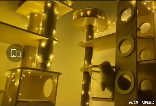 社交平台|章子怡2亿豪宅曝光，为宠物“装修”的住处都远超普通人容身之所