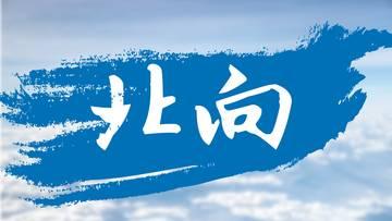 「创业板」大金融护盘,创业板改革,硝烟四起!