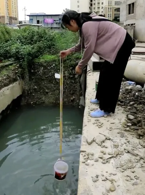 你好吴所畏|老赖父母欠款8.9亿，明星儿子戴60万金表：“你催债的样子可真丑陋”