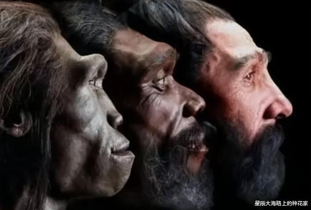 『智人』数十万年前,地球上至少有十几种人类,为什么最终只剩下了智人?