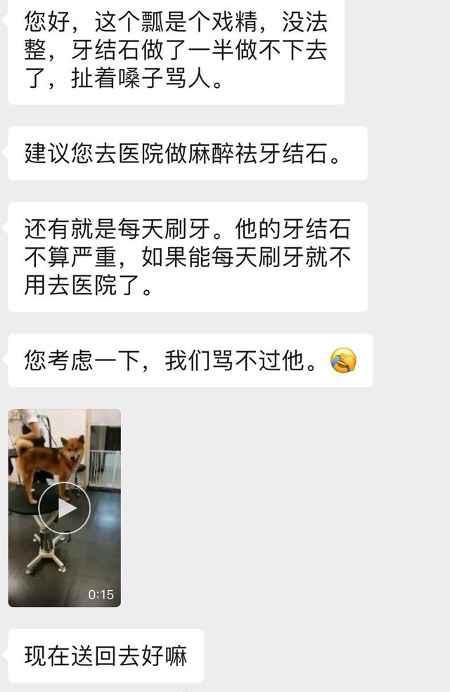 「王珞丹」王珞丹后悔养瓢哥,询问这货能退吗?何炅大呼心疼她三秒,节目组:概不售后!