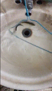 |“1吨100元纸币和100吨1元纸币，你会选哪个？”哈哈哈