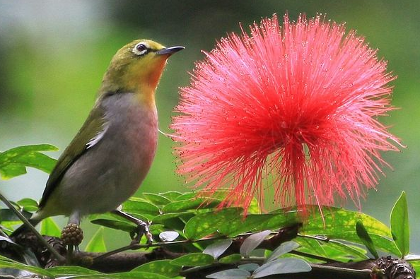 「锦上添花」5月下旬财星关照，4属相生财有道，正财横财齐发，生活锦上添花