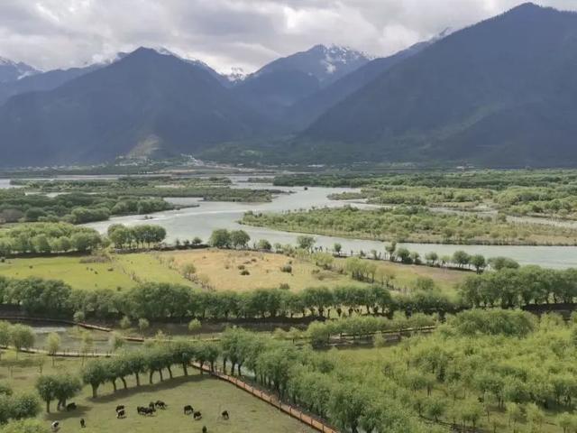 『青藏线』进藏老司机告诉你，为什么推荐你川进青出？