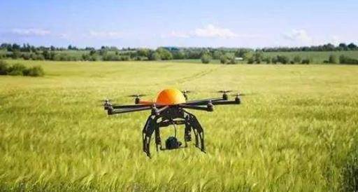 「」过来人奉劝:大学最好“远离”这5个专业,太冷门,薪资不足3000