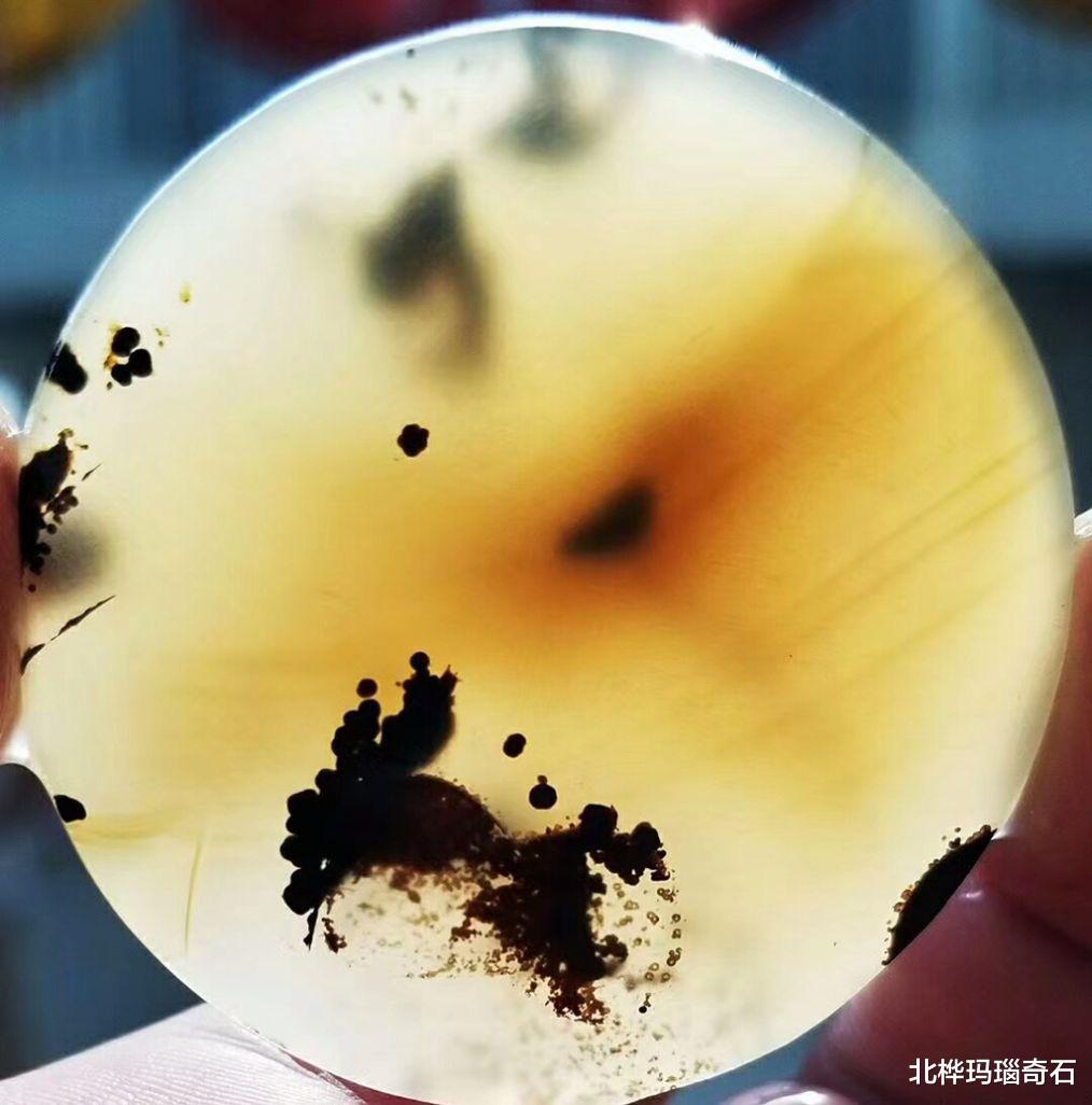 玛瑙|现在这个季节还能捡到石头