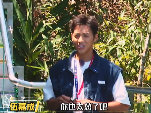 郑爽|费启鸣人设翻车？上节目谎话张口就来，郑爽的评价一针见血！