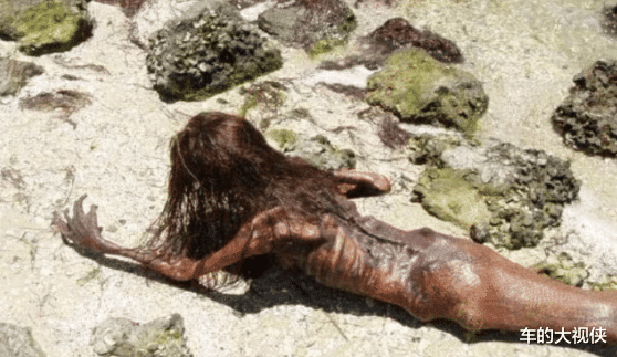 ：地球上真的有美人鱼? 1980年的印度, 就曾经抓到一只活的