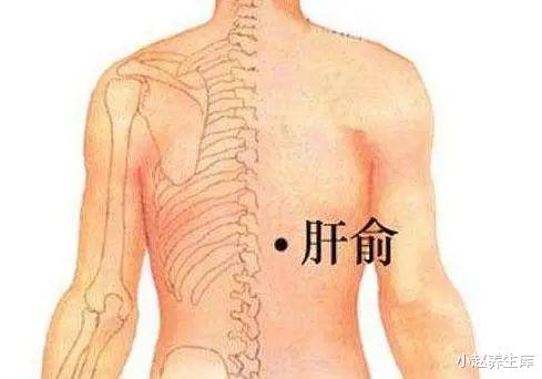 『肝脏』肝不好的人，身体三处会变“臭”，养护肝脏，牢记：“3多4少”