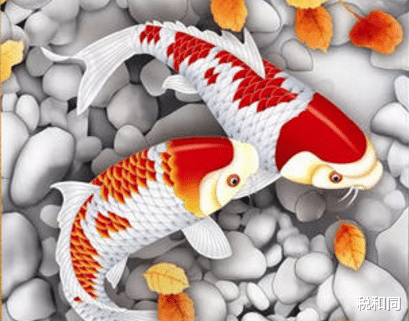 「生肖」横财运爆棚,一生必会中一次大奖的3大生肖