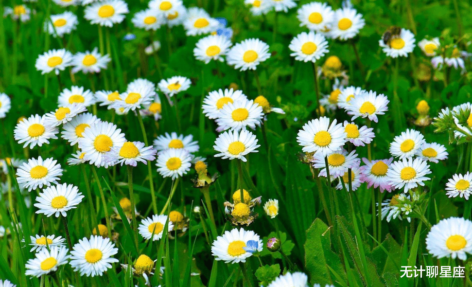 穿衣搭配|下月，注定要逆袭的4个星座，不可小觑的事业，也会突飞猛进