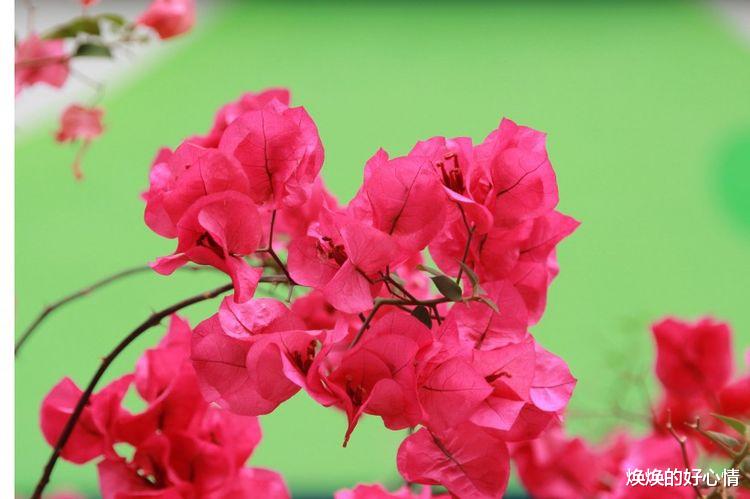 运势|9月1日开始，好运来临，遇见真爱升官加薪，财神降临的四大星座