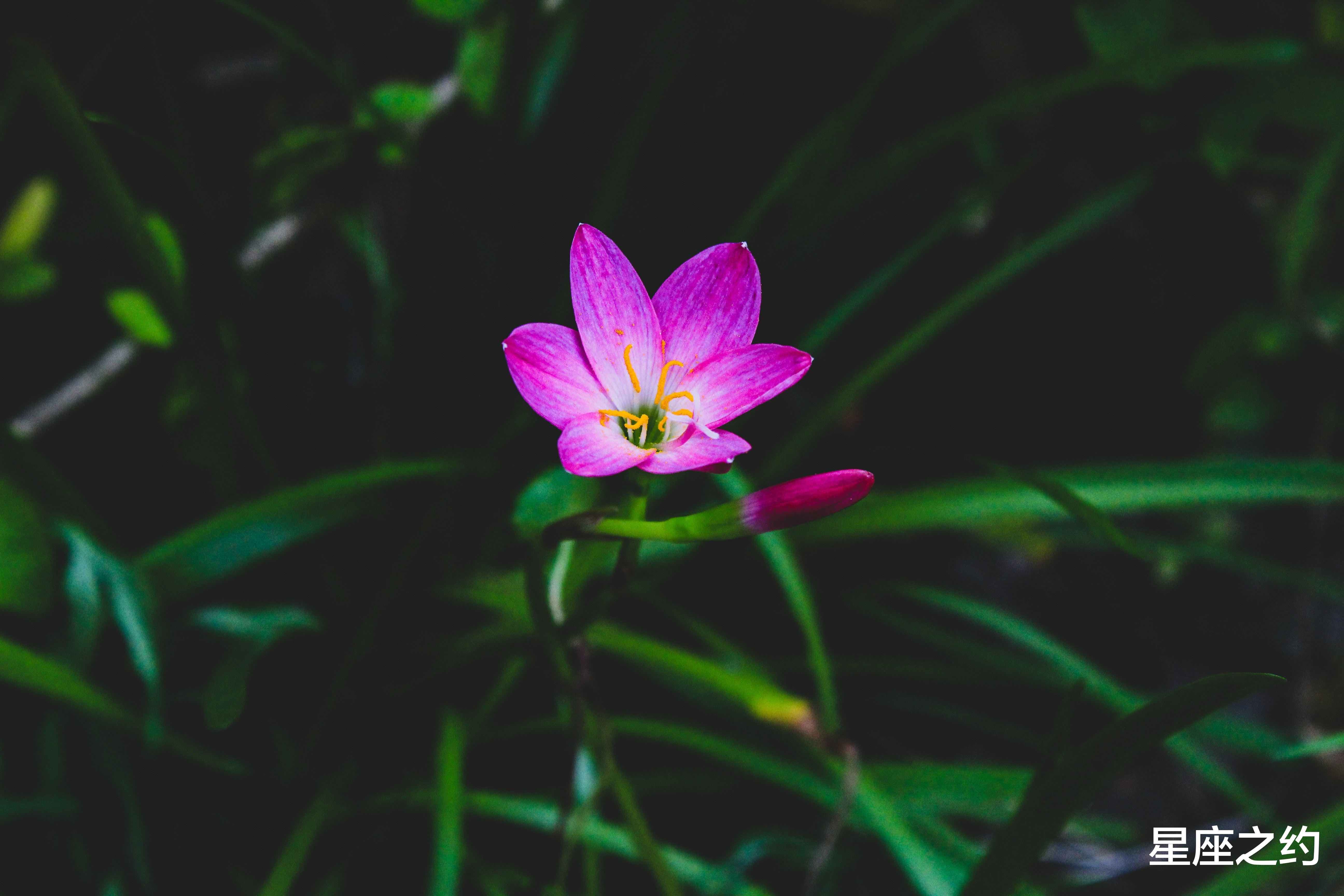 |在9月份，苦尽甘来，扶摇直上，生活富足的三大星座