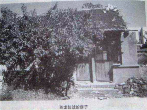 老照片|民国悍匪老照片：女土匪驼龙确实漂亮，图8被捕前藏了300箱金条