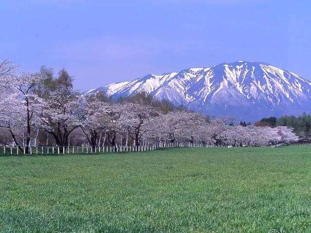 『生肖』3.27号起，风光无限，喜事不断，有望收获满满的4大生肖
