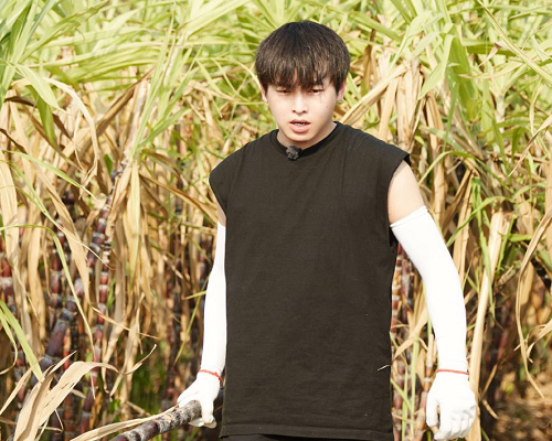 彭昱畅：向往4下期放大招，直接请来彭昱畅未来妻子，现在熬夜也要追了