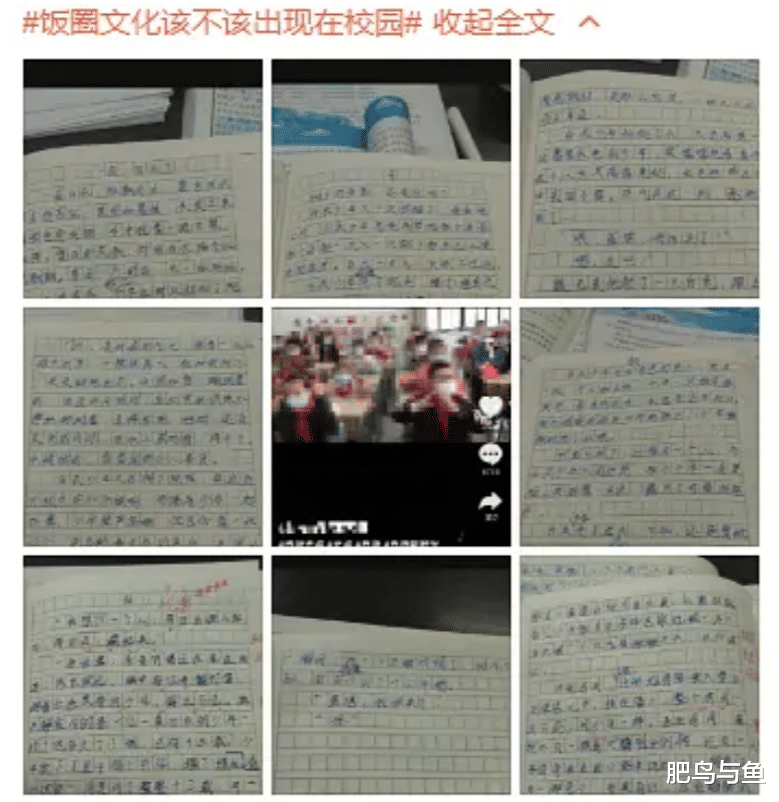 肖战@肖战粉丝遭东方卫视曝光！让小学生写博君一肖CP文！高三也难幸免