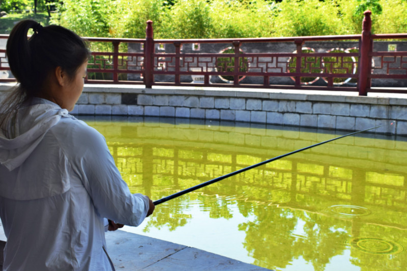 #齐鲁壹点#西安旅游：端午去哪玩？采摘、赏景、垂钓，西安周边游乐看这里