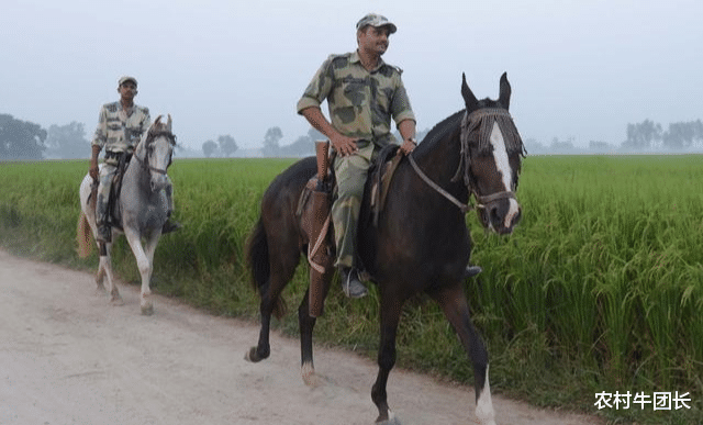 「印度」印军突击队上高原，T-90坦克部署，法以站队支持，印突然宣布后撤