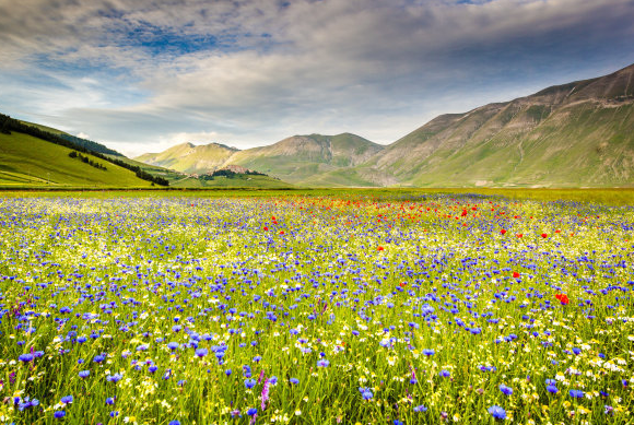 运势|8月份开始，4属相迎来好运，发财发福又发家，福运连绵