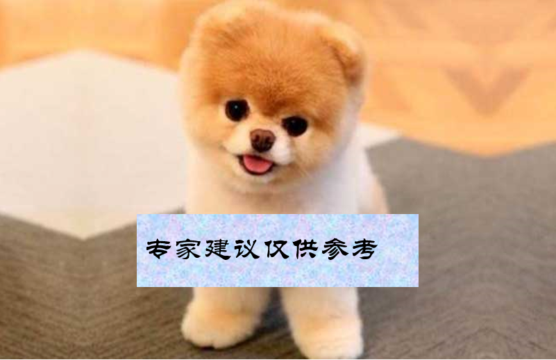 共享会计师 共享会计师财税分享：设备的折旧、调整与汇算清缴