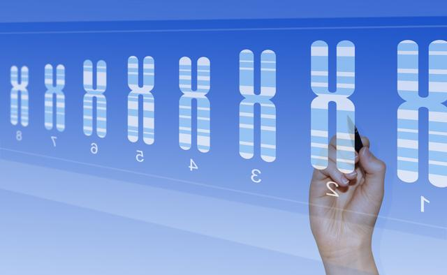 「染色体」男人更短寿?科学家:罪魁祸首是他们身上的这个“小东西”
