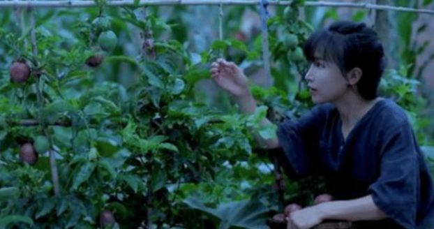 李子柒:李子柒的院子真是“仙境”吗?当摄像关闭美颜后,一秒回到现实