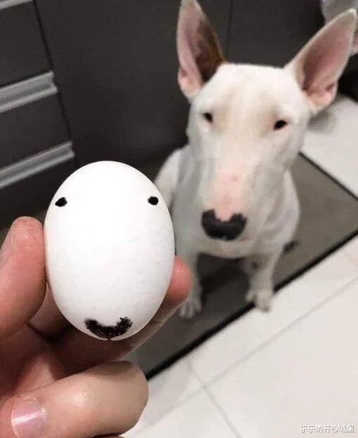 清华大学|“高中同学考上清华，被奖励了100万还送了一套房！”哈哈哈我酸了！