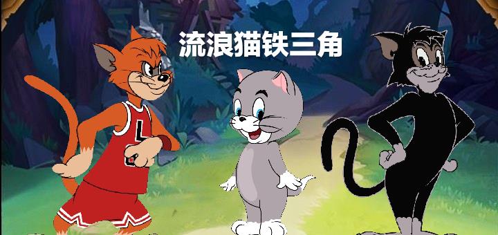 关于"流浪猫铁三角"的故事 你知道多少?曾经的那个肉头回来了