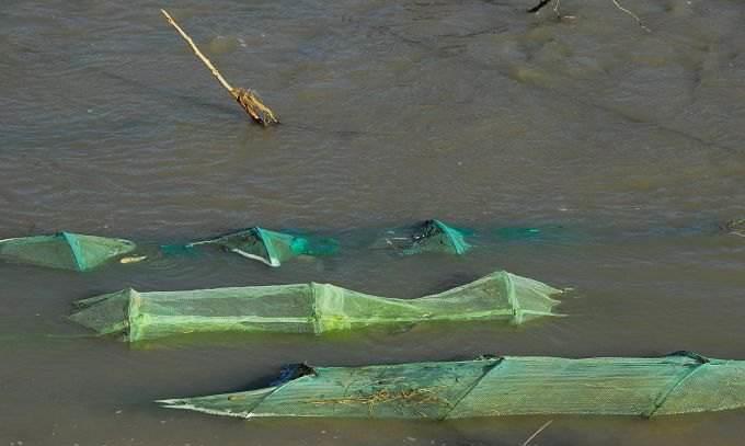 |禁捕10年,那么10年后钓鱼会是什么样子?连竿狂抽?还是钓鱼更难