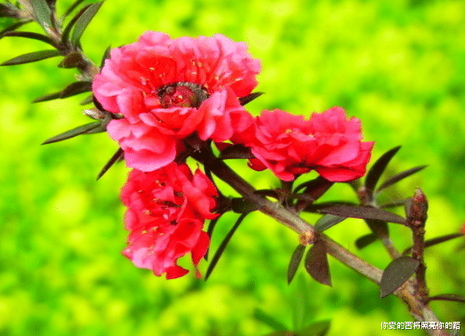 生肖|9月，运势大有好转，4属相吉星关照，喜事接二连三，日子潇潇洒洒