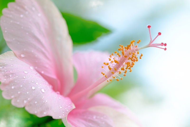 狮子座▲五月迎贵人,六月接财神,3属相豁然开朗,踏上了事业新征程