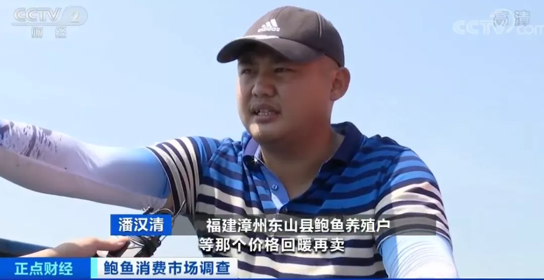 浙样的生活|大跌！一斤只要20元？浙江人爱吃的这菜价格“腰斩”！