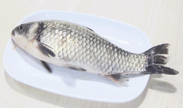 #死水#夏季这样钓鲫鱼，一小时连上13条