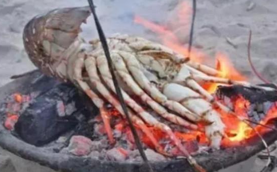 [龙虾]在非洲购买四只大龙虾，随手给出五百元直接走人，半路却遭遇到了拦截？