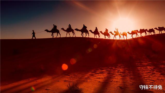 |23个冷知识:容易被人忽视,但除了有趣也没什么用