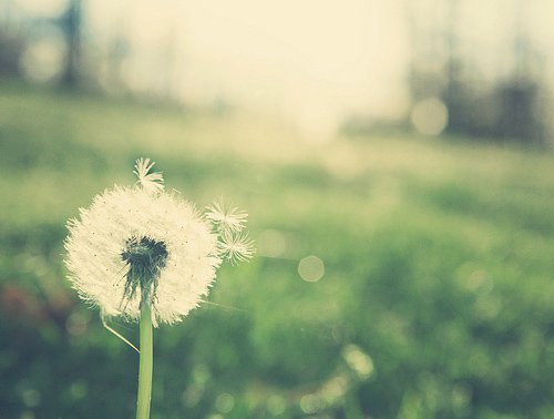 |你无药可救了吗？