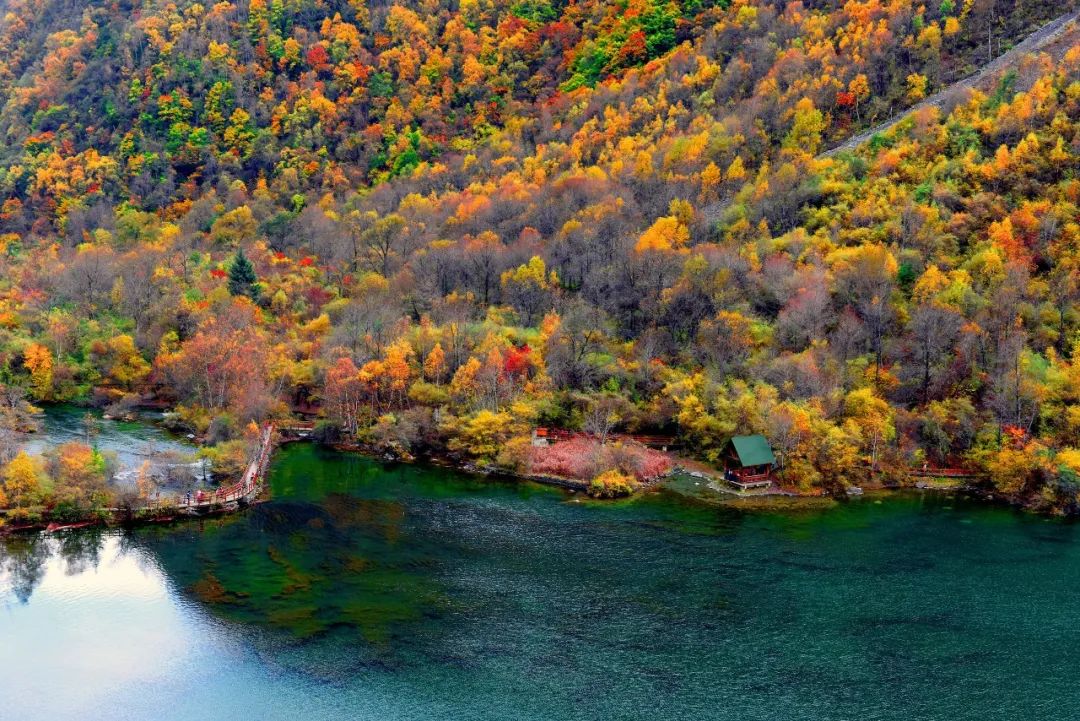 川西|川西，整个秋季最美的地方！思鹿旅行推荐
