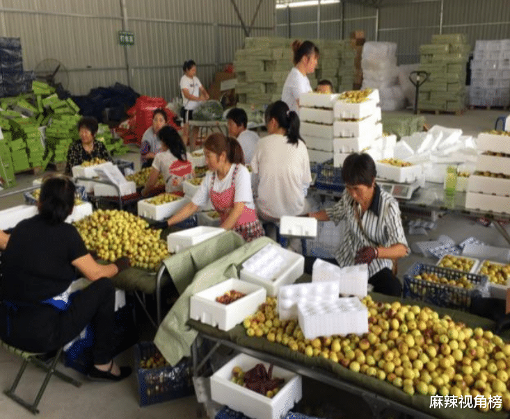 白菜|它过去比猪肉贵还不愁卖，现降到“白菜价”却被嫌弃，这要怪谁？